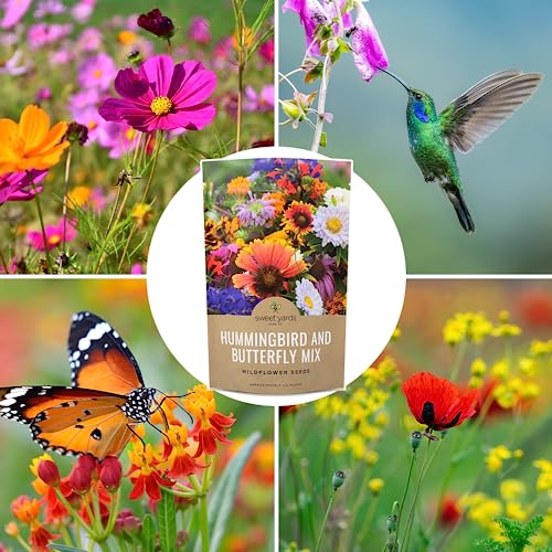 Bulk Wildflower Seeds Butterfly and Humming Bird Mix (4 Ounce)