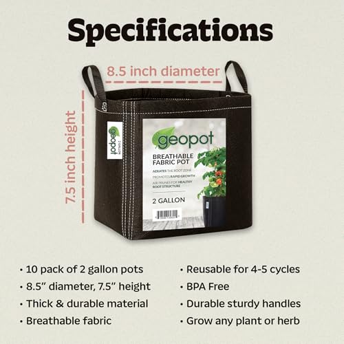 2 Gallon Fabric Grow Bags with Handles for Vegetables (10 Count)