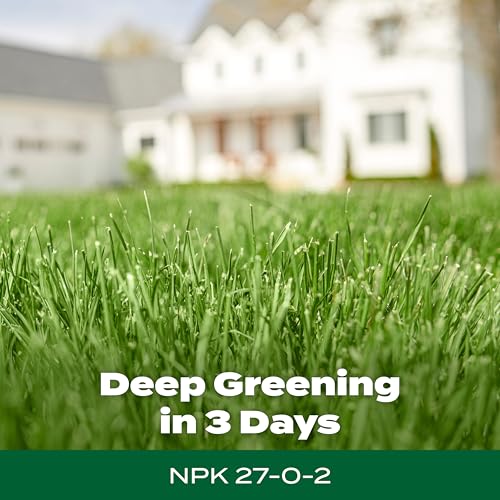 Green Max Lawn Food (533.34 Ounce)