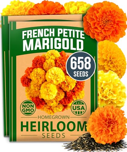 Petite French Marigold Seeds (2 Count)