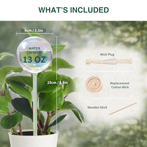13 oz Up 2 Weeks Extra Large Plant Watering Globes (XL (13 oz) – 2 Pack)