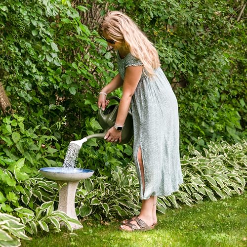 Sunnydaze Ceramic Bird Bath Bowl