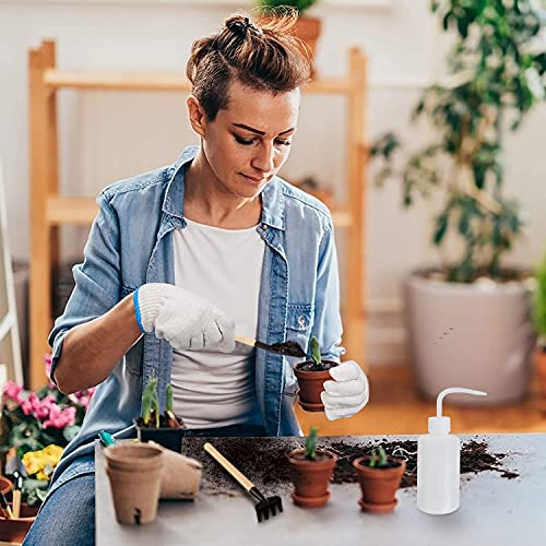 Succulent Tools