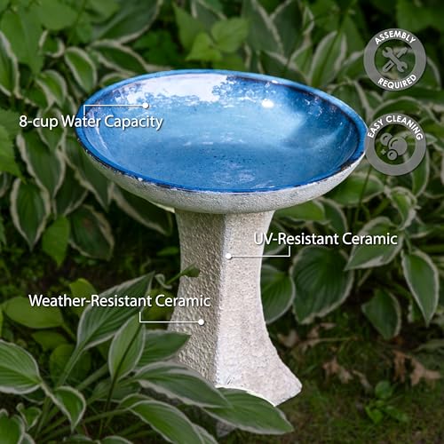 Sunnydaze Ceramic Bird Bath Bowl
