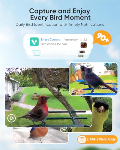 Bird Feeder with Camera Solar Powered