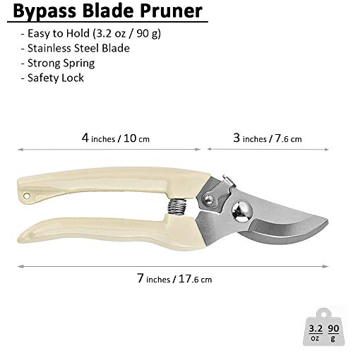 Garden Shears Set of 2