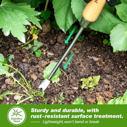 Dandelion Weeding Tool
