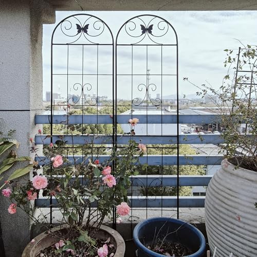 2 Pack Garden Trellises with Black Metal Coating