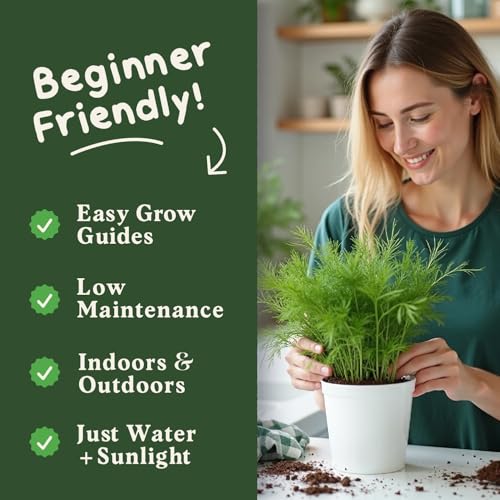 Organic Non GMO Herb Seeds for Planting Outdoors