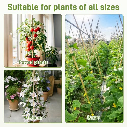0.32”-0.4"/ 4 Feet Garden Stakes, Natural Bamboo Sticks Plant Stakes for Indoor and Outdoor Plants，Poles for Tomatoes, Beans, Potted Plants(50Pcs) (50.01 Count)