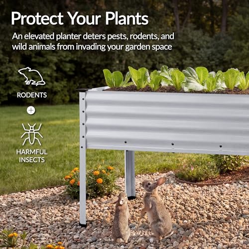 48x24x30in Galvanized Raised Garden Bed