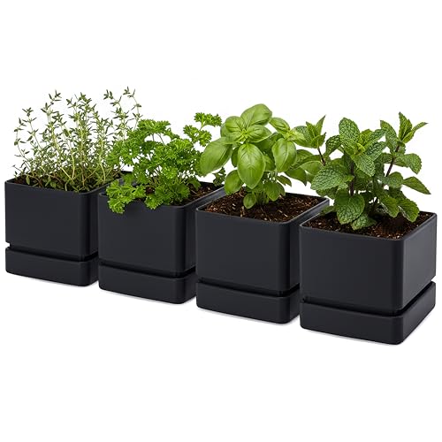 4 Pack Plastic Herb Planter Pots (4 Count)
