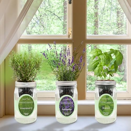 Hydroponic Herb Growing Kit Set