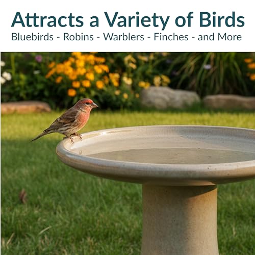 Sunnydaze Bird Bath for Outside