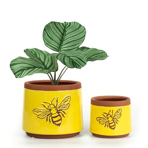YBX Terracotta Pots Inch with Drainage Holes (6+4 Inch / Yellow)