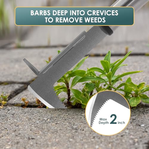Crack Weeder Stainless Steel Manual Crevice Weeding Tool (13 inch)