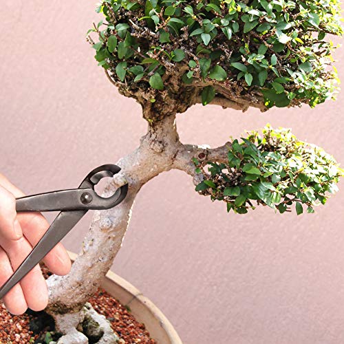 Bonsai Tool Kit (2 Count)