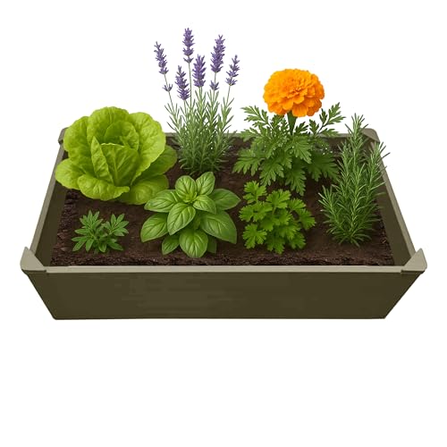 Raised Garden Bed
