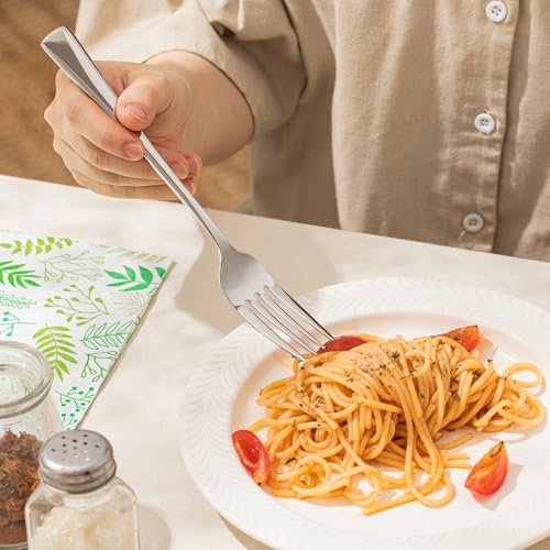 Forks 48 Piece Dinner Forks Set (Silver / 48-Piece)