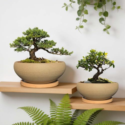 2 Pack 8+6 Inch Plant Pot (8"+6.8")