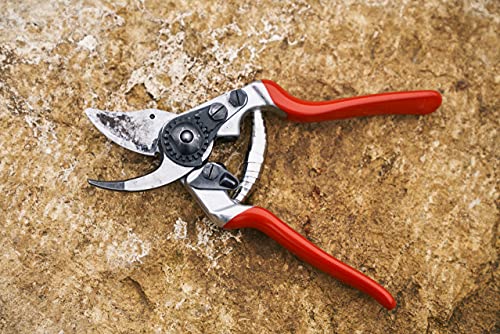 F 14 Pruning Shears