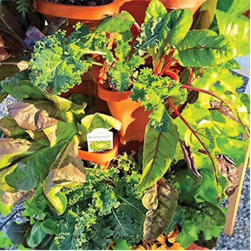 Vertical Garden Planter 4 Tier Stackable System 16 Plants (Terracotta / Small)