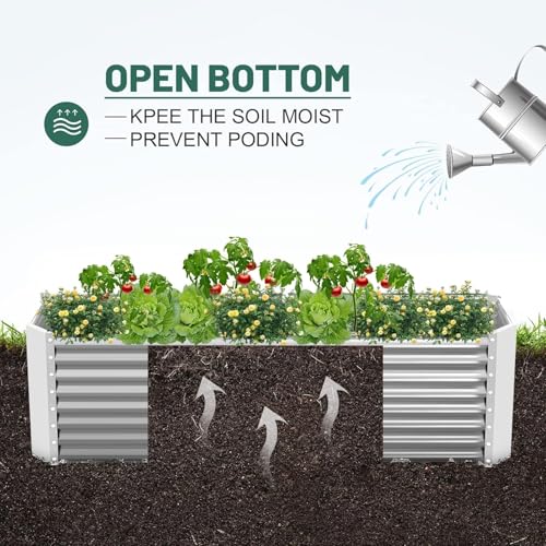 2 Pack 6×3×2 ft Galvanized Metal Raised Garden Bed (2 Count)