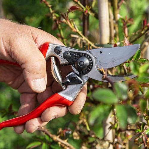 F9 Pruning Shears