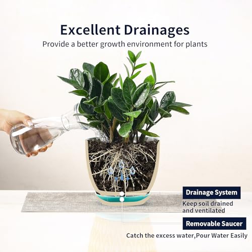 Ceramica Plant Pots (Assorted Colors / 6.5 Inch, Set of 2)