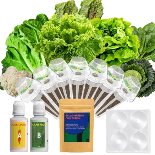 Salad Seed Pods Kit for AeroGarden