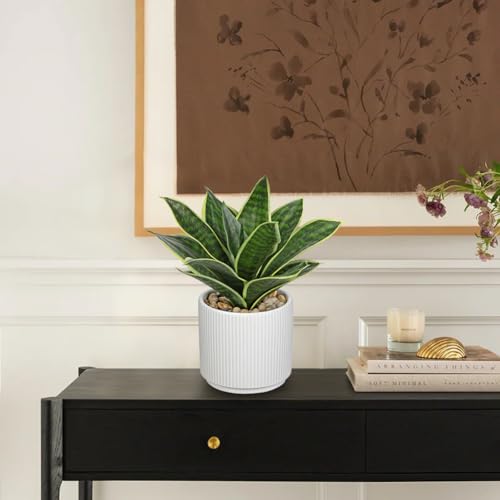 Artificial Agave Succulent Plants Faux Snake Plant Fake Succulent Agave Plants Potted in White Pot Succulent Aloe Plant for Desk Modern Office Living Room Table Shelf Home Indoor Outdoor Decor (Style 2)