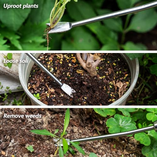 Dandelion Weeding Tool