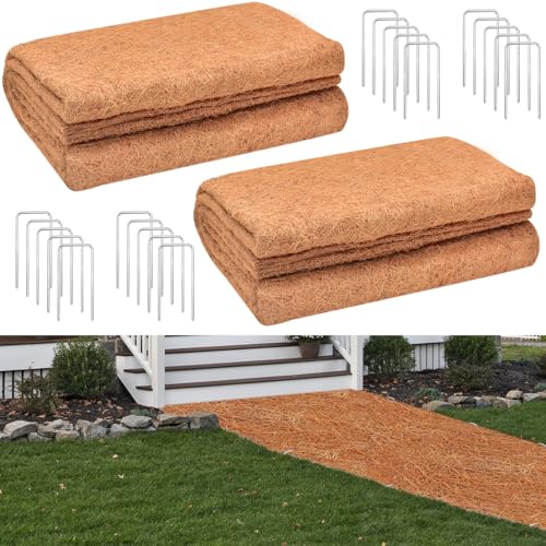 2 Pack 31x80 Inch Thickened Non (2 Count)