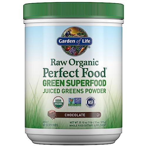 Raw Organic Perfect Food Chocolate Powder (20.1 Ounce)