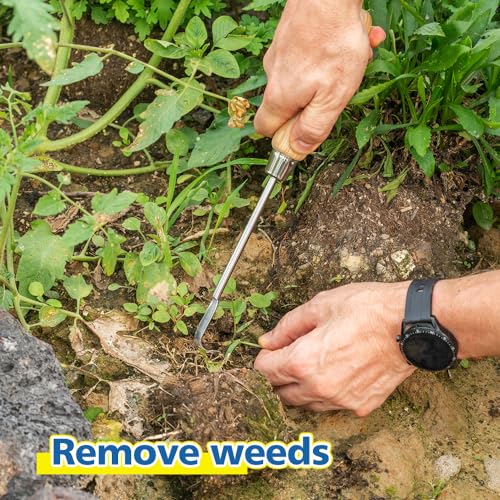 Garden Hook Weeder (12'' Hook Weeder)