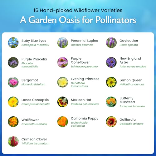 Bee & Butterfly Wildflower Seed Mix (30000 Count)