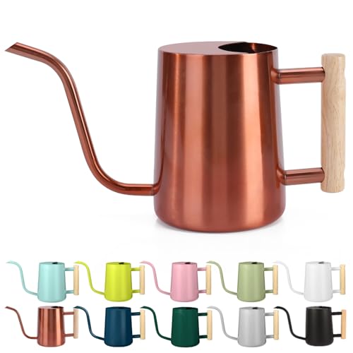 Watering Can Indoor Plants (Copper)