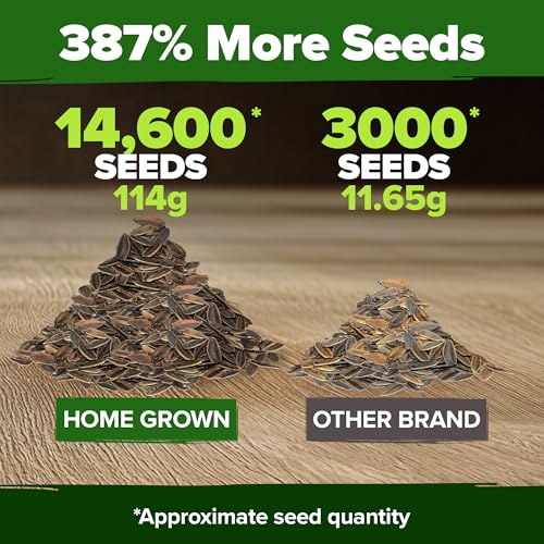 California Giant Mix Zinnia Seeds