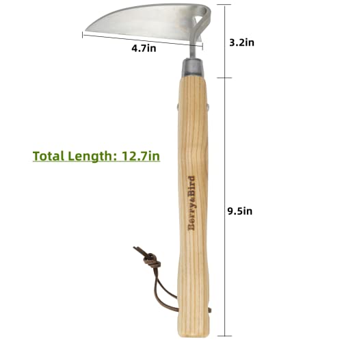 Garden Hand Hoe