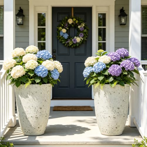 19.5" Tall Resin Planters Set of 2 (2 Count)