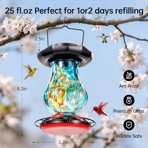 Solar Hummingbird Feeder for Outdoor