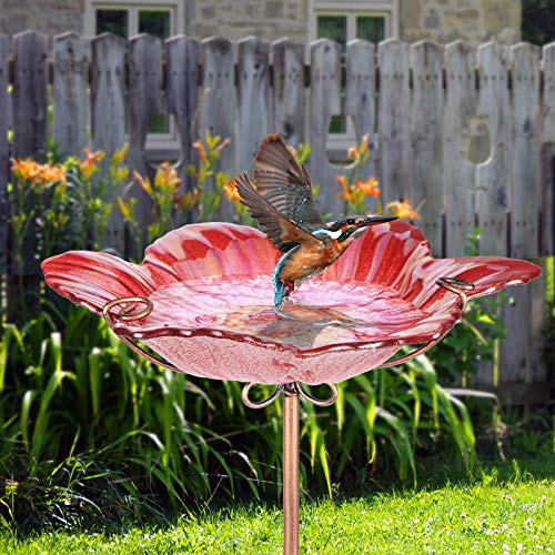 26" Glass Bird Bath