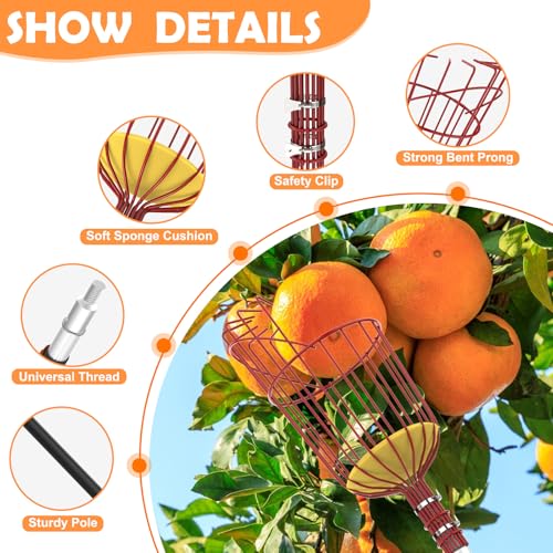 SISIUPASSIE 20FT Reach Fruit Picker