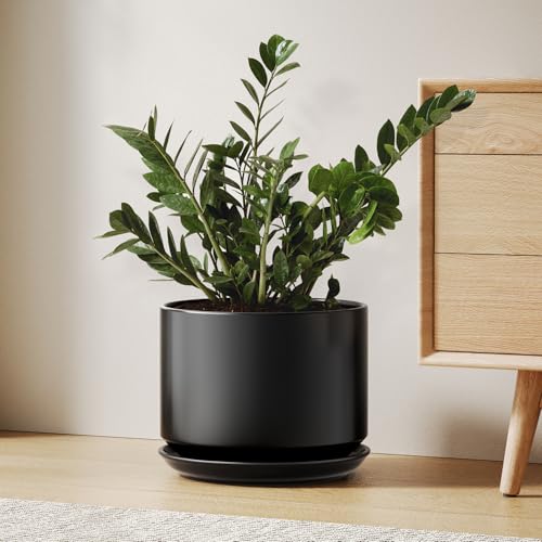 10 inch Plant Pot (Black / 10")