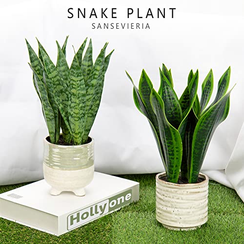 Fake Snake Plant 12 Inch Small Artificial Snake Plant Potted with Ceramic Pot Faux Sansevieria Plant for Home Office Room Indoor Decor Housewarming Gifts