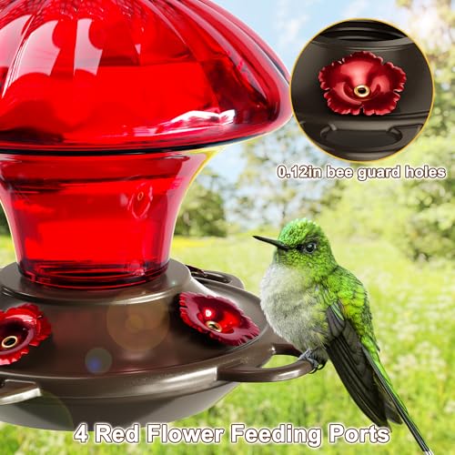 Glass Hummingbird Feeders for Outdoors Hanging