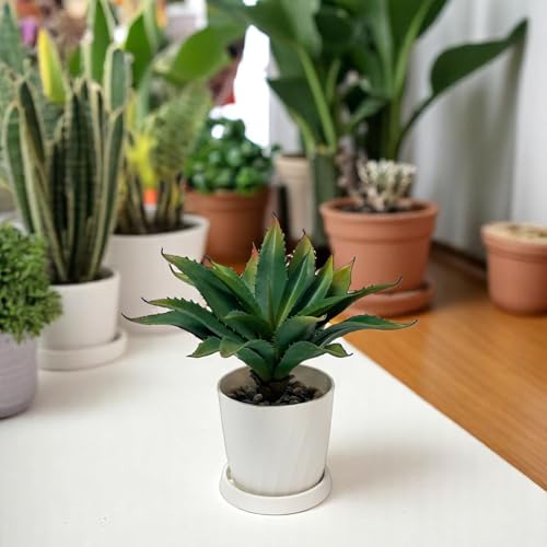 12.5 Inch Artificial Aloe Plant
