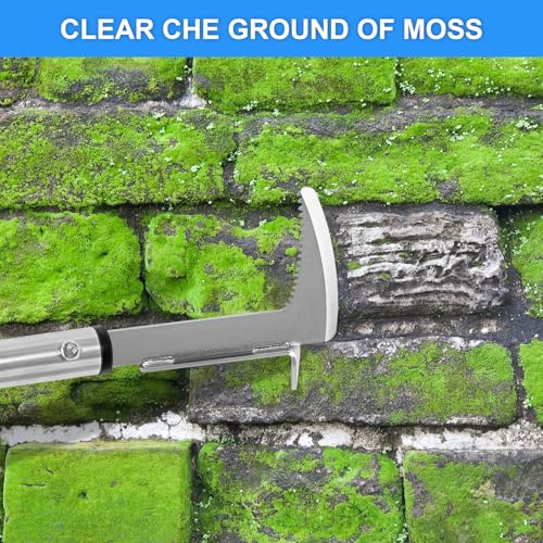 Crack Weeder Stainless Steel Manual Crevice Weeding Tool