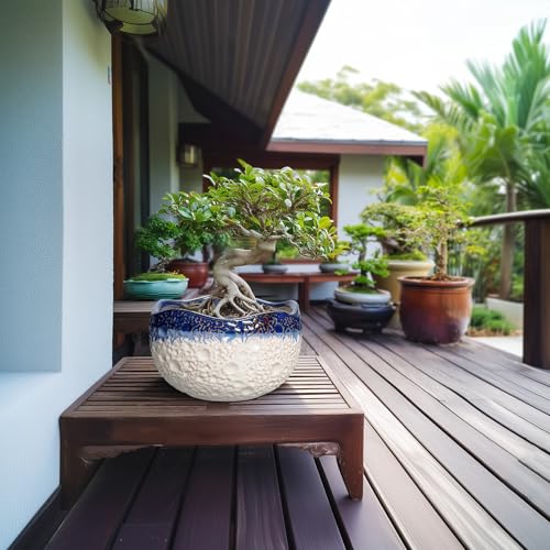 Ceramic Flower Pots (10.5 Inch / Beige-blue)
