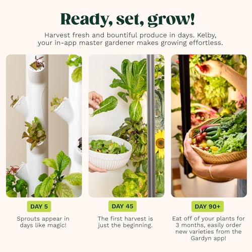 Studio 2 Hydroponics Growing System
